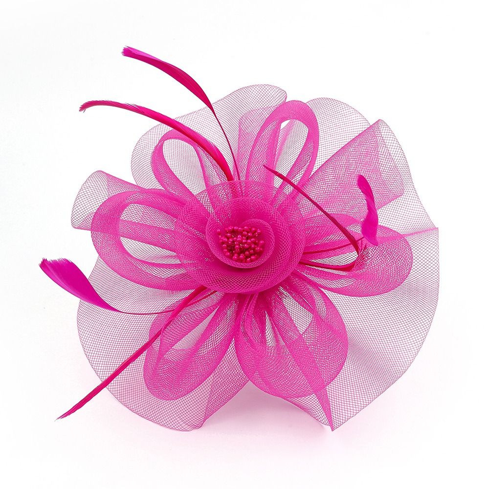 Feathers Ribbon Fascinator Hat - Vintage Fashion Hats review and price